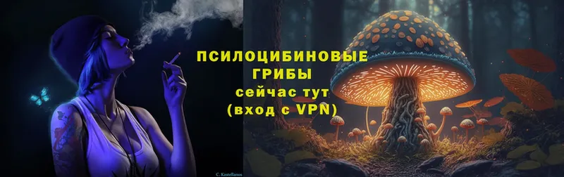 Галлюциногенные грибы MAGIC MUSHROOMS  Белоусово 